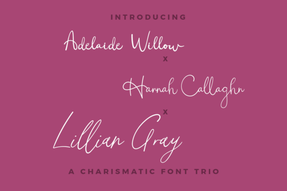 Adelaide Hannah Lillian Trio Review
