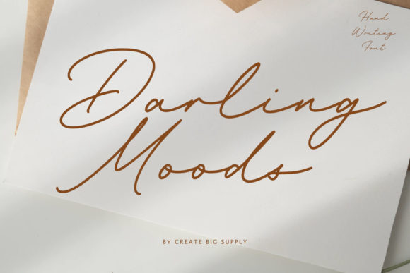 Beautiful Script Font for Business