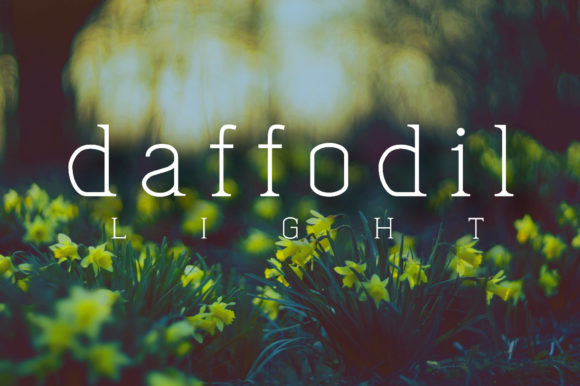 Daffofil: A Serif Font for Creative Campaigns