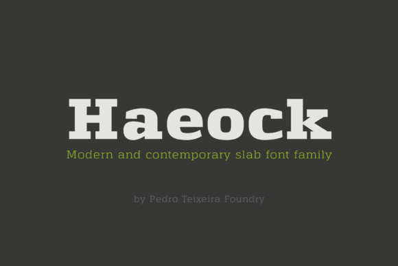 Haeock Family: A Vintage Slab Serif for Editorial Design