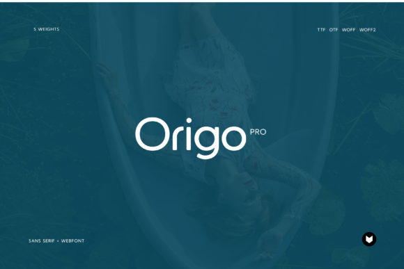 Origo Pro Font for Web Design