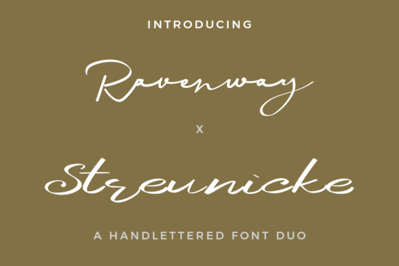 Ravenway X Streunicke Duo Font
